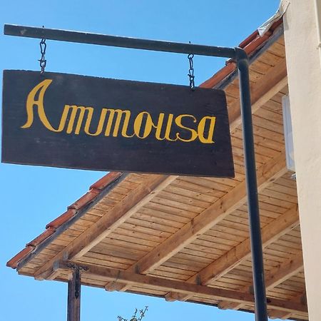 Ammousa Hotel Apartments Lixouri Buitenkant foto