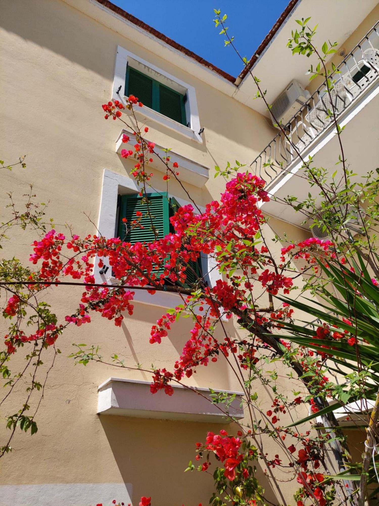 Ammousa Hotel Apartments Lixouri Buitenkant foto